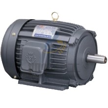 S.Y群策電機(jī) 標(biāo)準(zhǔn)臥式感應(yīng)馬達(dá)2HP 4P